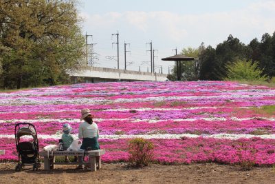 若の原農村公園